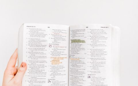 opened Holy Bible