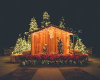 nativity outdoor decor during night time