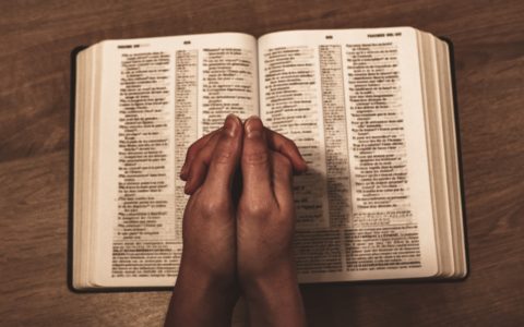person holding book on brown wooden table