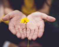 selective focus photography of woman holding yellow petaled flowers