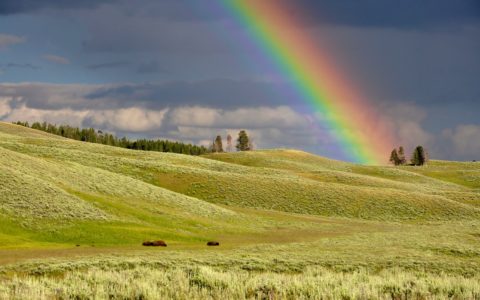 rainbow near green grass ranges
