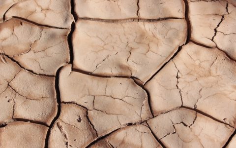 dried soil
