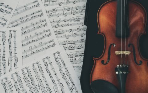 brown violin with case