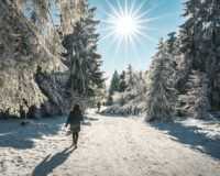 person in black jacket and black backpack walking on snow covered ground near trees during daytime