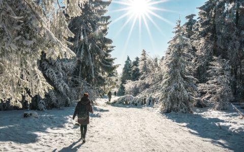 person in black jacket and black backpack walking on snow covered ground near trees during daytime
