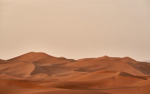 dessert field