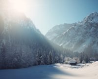 snowy mountain surrounded with trees