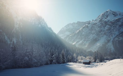 snowy mountain surrounded with trees