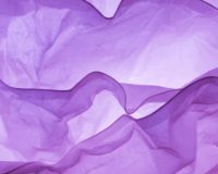 purple textile on white textile