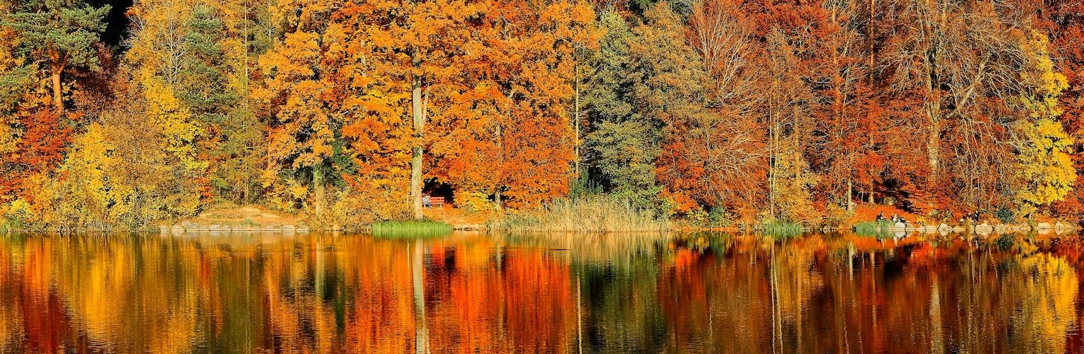 lake sorrounded by trees