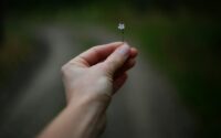 a person holding a small white flower in their hand